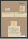 Coscinodiscus stelliger Grun. (de-Toni-Nr.: Genus 202, Species 5060) Zeichnungen Sammlung Grunow Nr. 8818 (NHMW-BOT-W0378433)